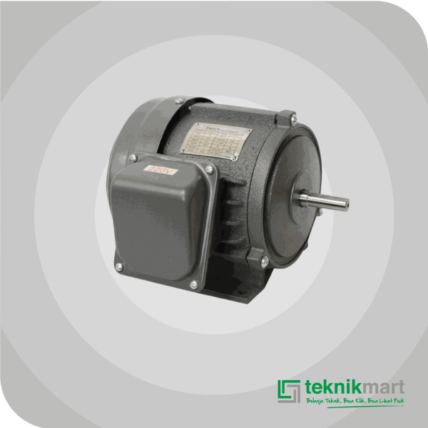 FETCH ELECTRO MOTOR 1/4 HP 1P 4P