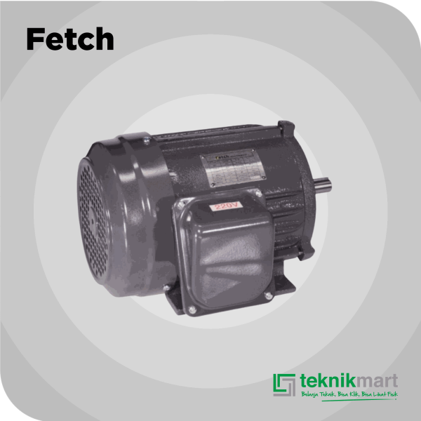 FETCH ELECTRO MOTOR 2 HP 1P 4P