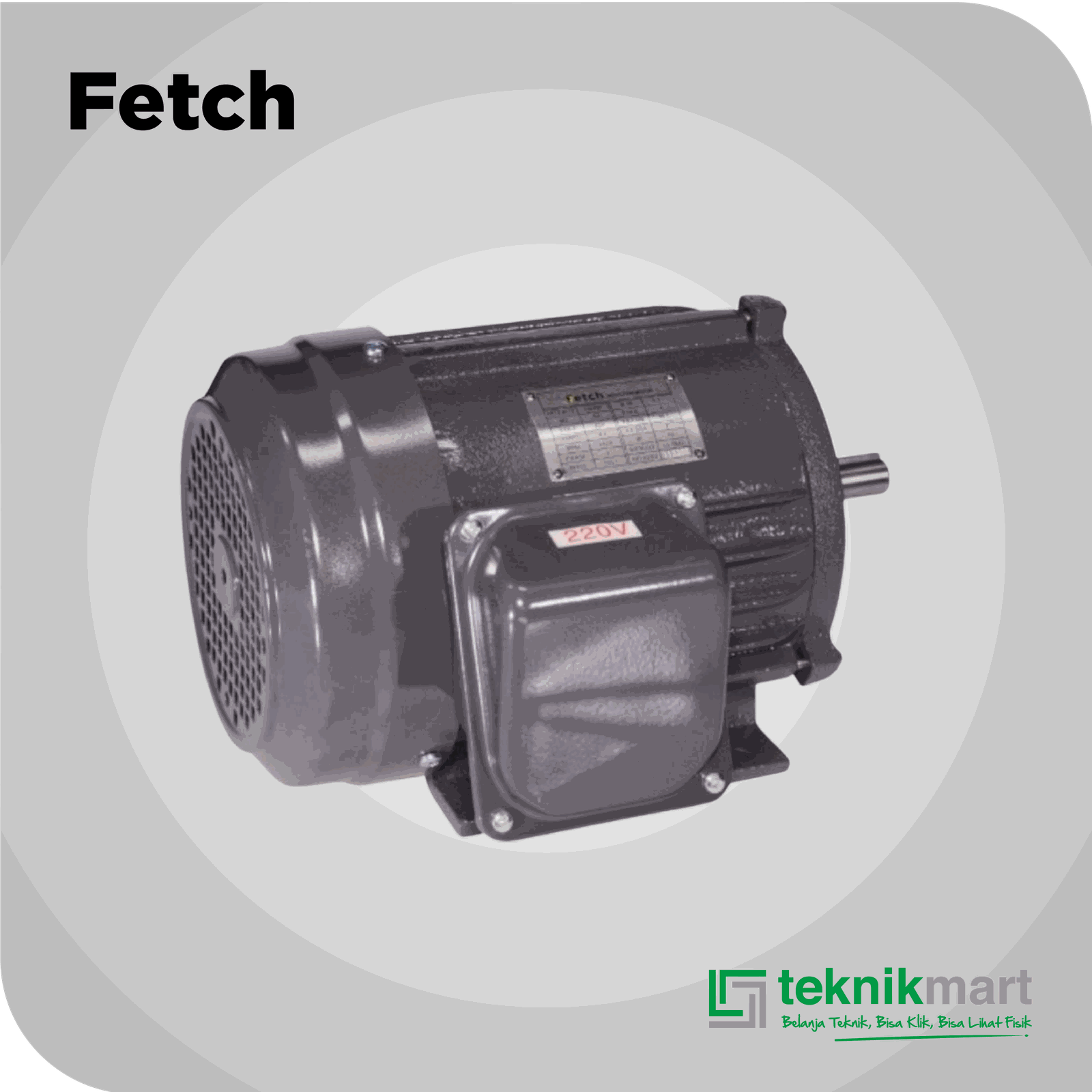 FETCH ELECTRO MOTOR 3 HP 3P 4P