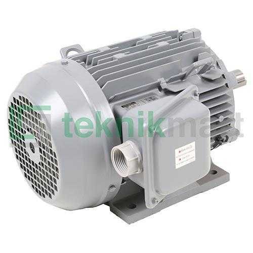 HITACHI ELECTRO MOTOR 5 HP 3P 4P - Image 2