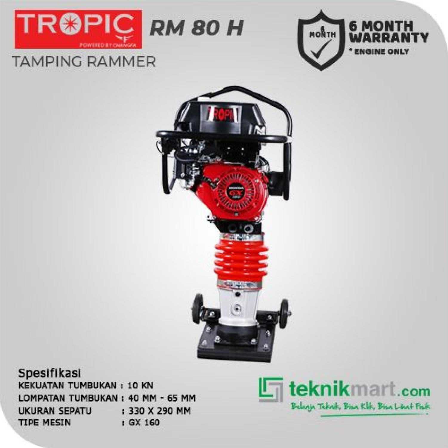 TROPIC TAMPING RAMMER RM 80 H W/HONDA - Image 3