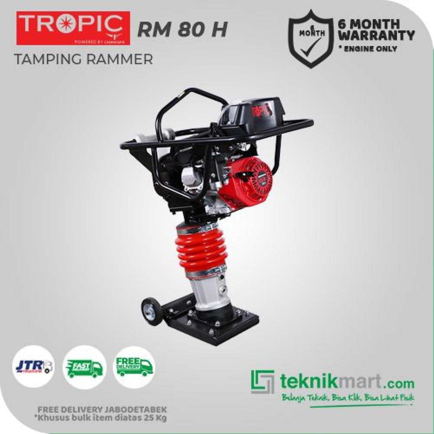 TROPIC TAMPING RAMMER RM 80 H W/HONDA - Image 2